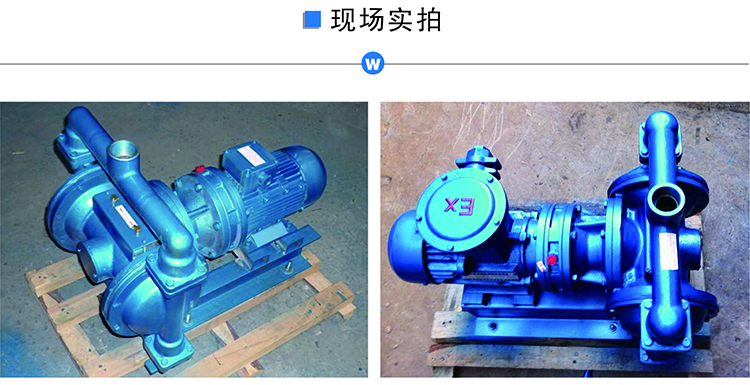 DBY電動隔膜泵實圖