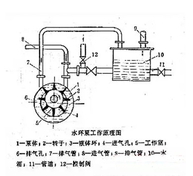 水環(huán)真空泵原理
